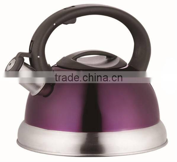 Stainless Steel Whistling Kettle With Coating