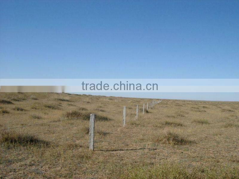 Field Fence/grassland fencing/cow fence