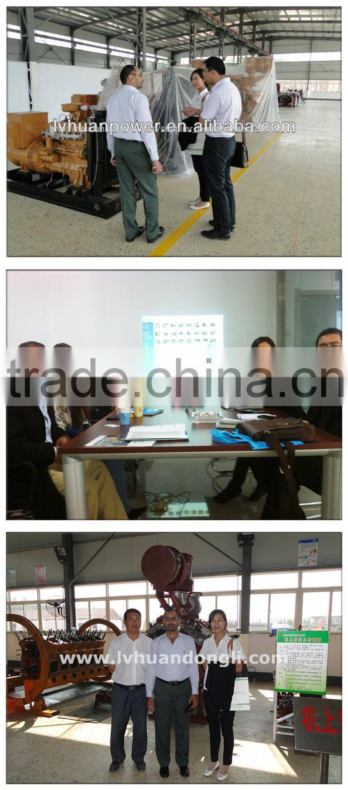 Buy direct from china factory biomass gas equipments