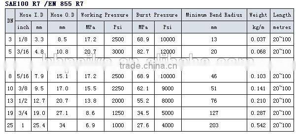 thermoplastic hose /hydraulic hose