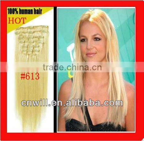 Wholesale High Quality Mongolia Hair Remy Hair Human Remy Hair Clip In Hair Extension