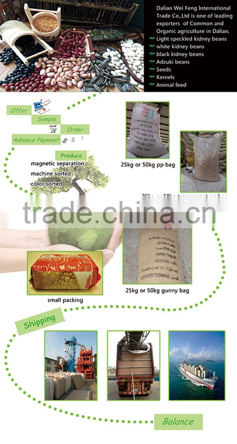 Exporting 363 sunflower seeds with good price