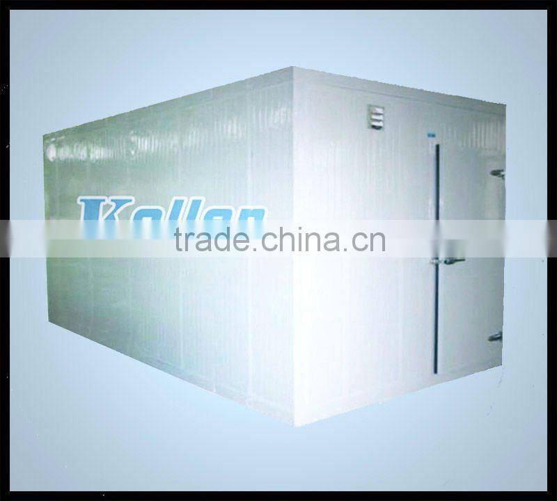 15 Tons Capacity Cold Room(-20 degree)