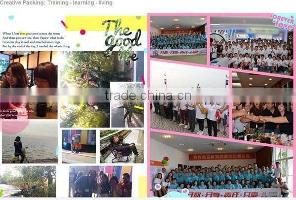 3+0 Luxury fashion automatic wtath winder