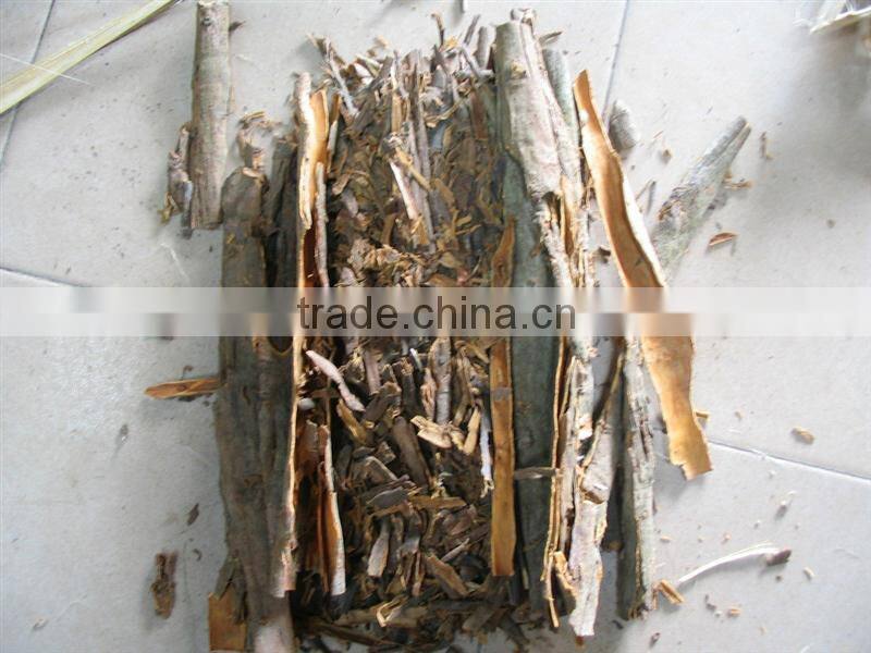 China Brand New Broken Cassia Cinnamon
