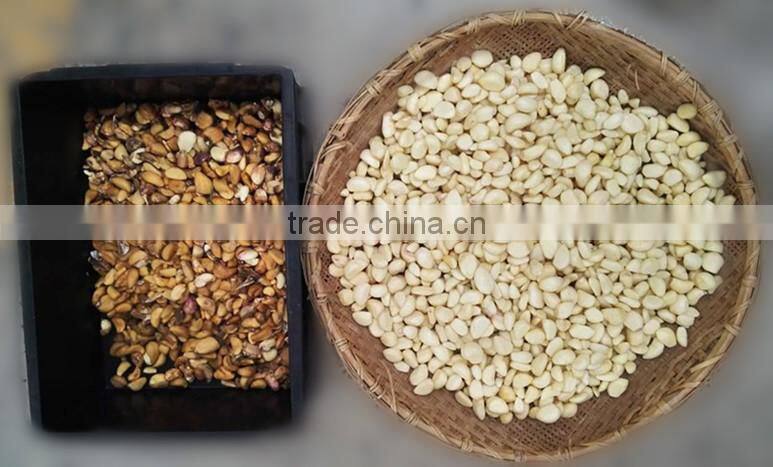 garlic color sorter, belt color sorter