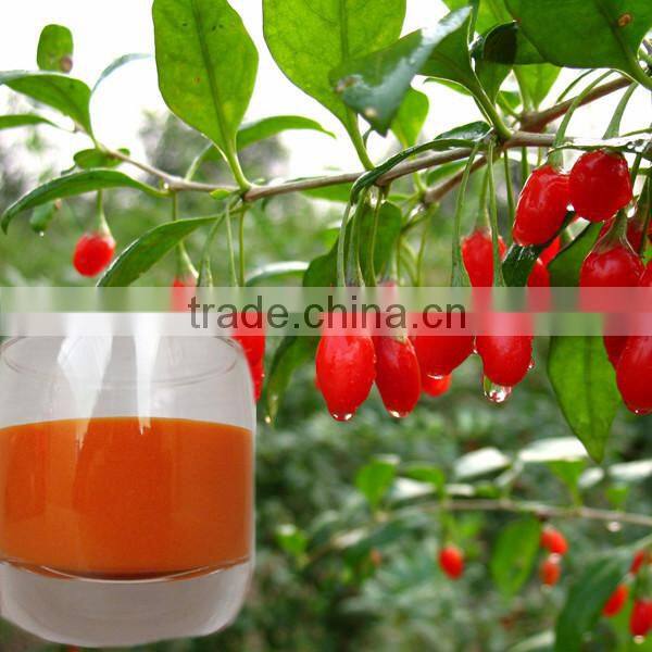 goji juice concentrate berry juice manufacturers