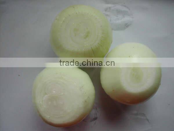 2015 new crop fresh peeled onion in china