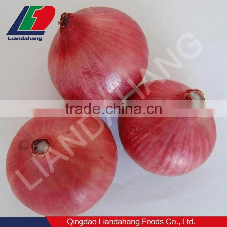 new crop shallot from China