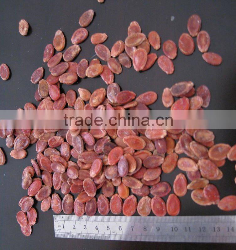 red Watermelon Seeds10cm, 11cm new crop