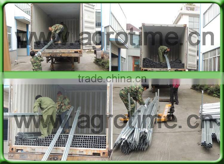 Multi-span Polycarbonate plastic sheet greenhouse for agriculture