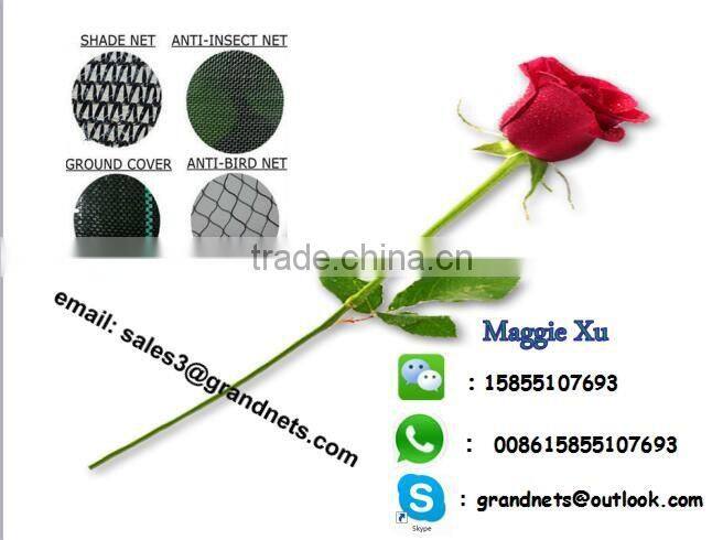 anti bird capture and catch net