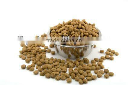 Healthy Food for pets dogs