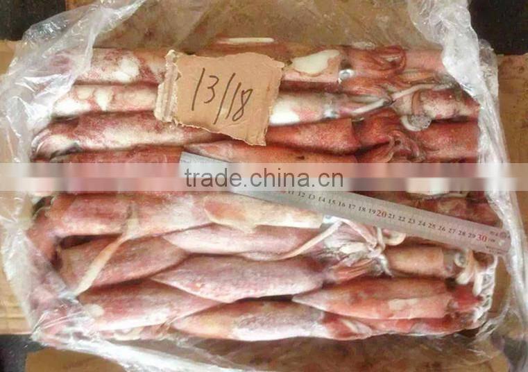 Frozen whole round red squid
