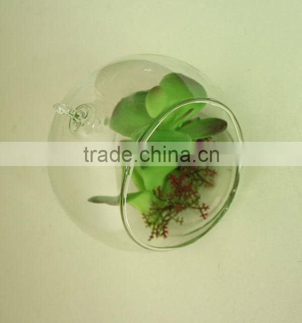 Florists new arrival glass pot succulents for interior decoration