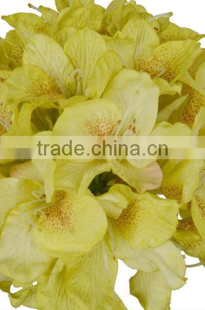 hydrangea wedding decoration fabric flower 27604H