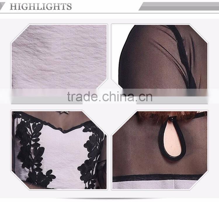 Odm Services Blending Transparent Collar Ladies Smart Casual Lace Dress