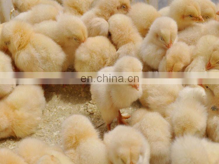 Automatic photoelectric sensor chicken debeaking machine chicken beak cutter poultry debeaker