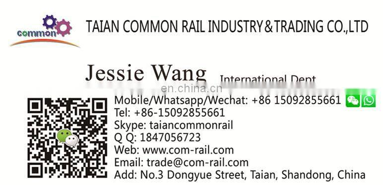 China UD injector nozzle 095000-5471 095000-0660 095000547 095000060