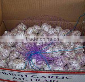 wholesale new crop Jinxiang garlic OEM garlic factory garlic export