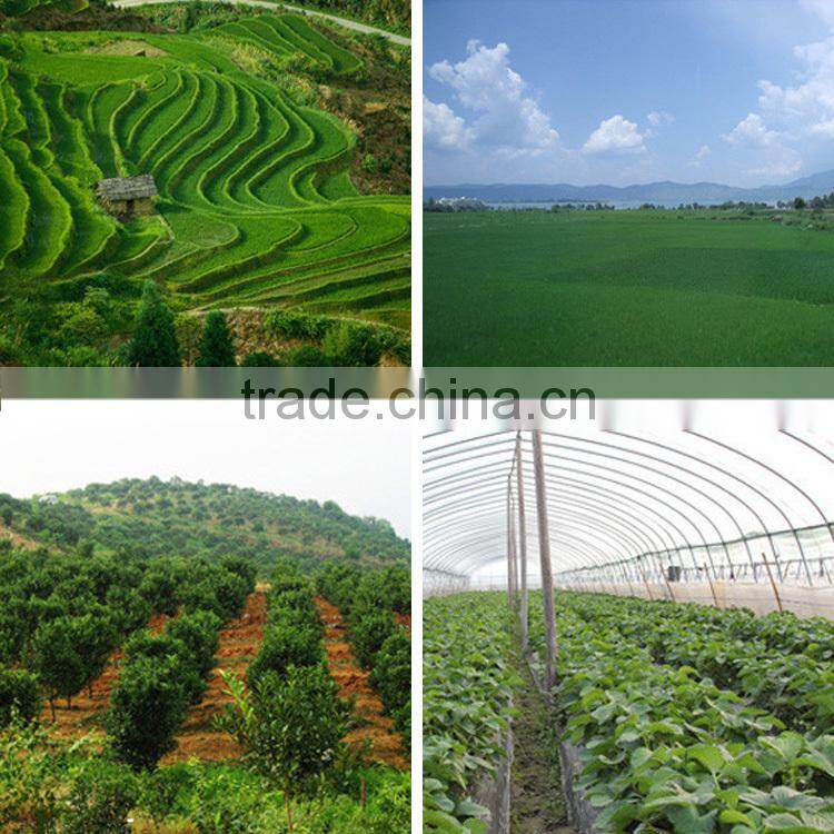 Hot Sale 9 HP Diesel Rotary Tiller For Agricultural Machinery