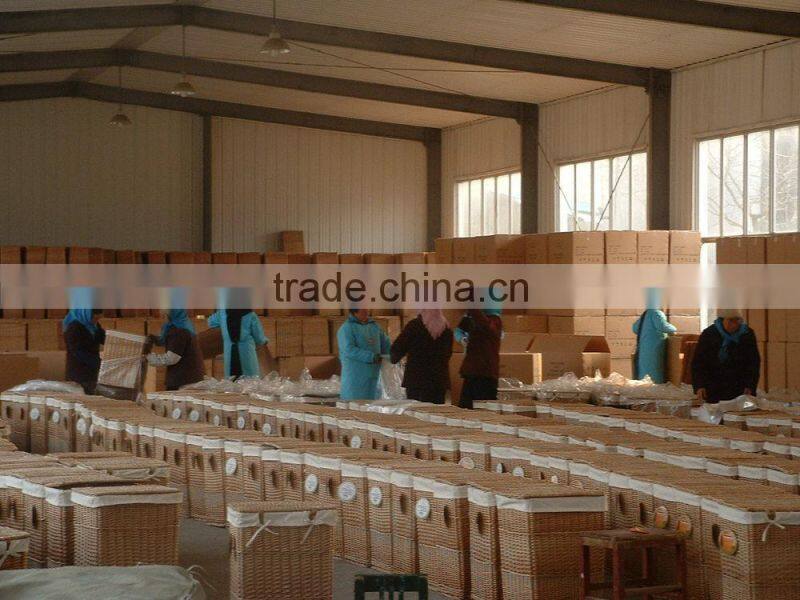 Folding storage box with zebra pattern