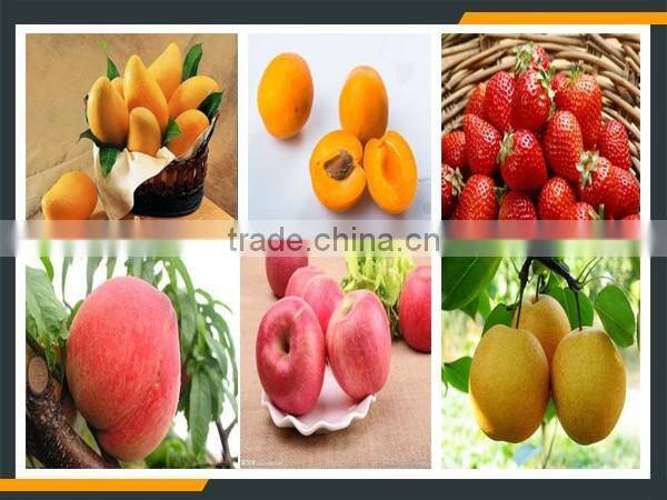 Leader high quality various fruit beating machine offering its services to overseas