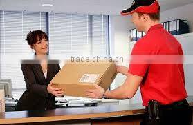 Vegetable Macaron shape