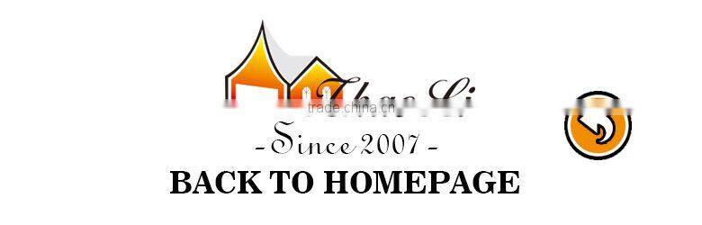 Manufacturer supply 10x10 canopy wholesale canopy