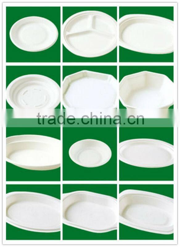 a Biodegradable Disposable Sugarcane Bagasse Ellipse Plate