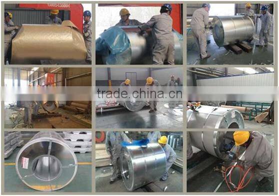 alibaba china 0.12mm-2.0mm prepaint galvanized steel coil