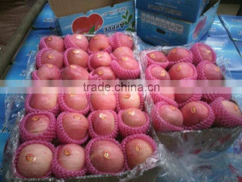 mature natural red apple wholesale fuji apple china with fresh apple price