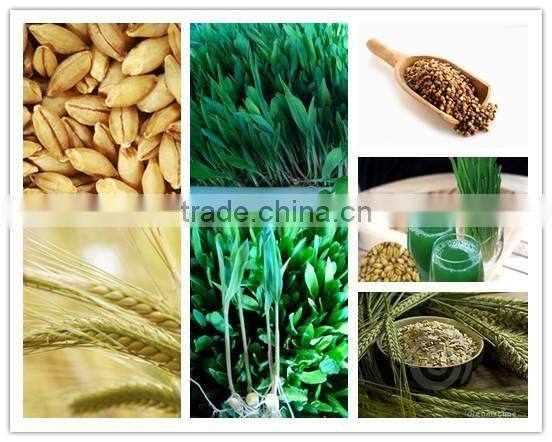 Hydroponics Animal Fodder Machine animal fodder making machine , bean sprout machine , barley sprout machine