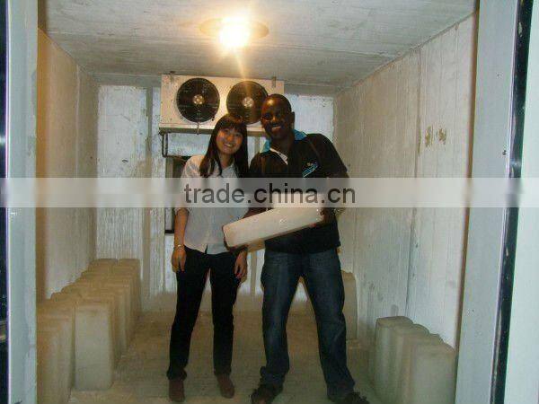 Automatic Ice Block Machine with Special Contact Convey Device