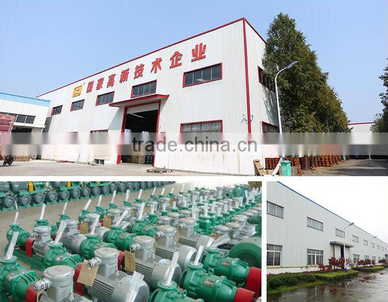 Fluorine plastic automatic magnetic pump,cuastic soda pump
