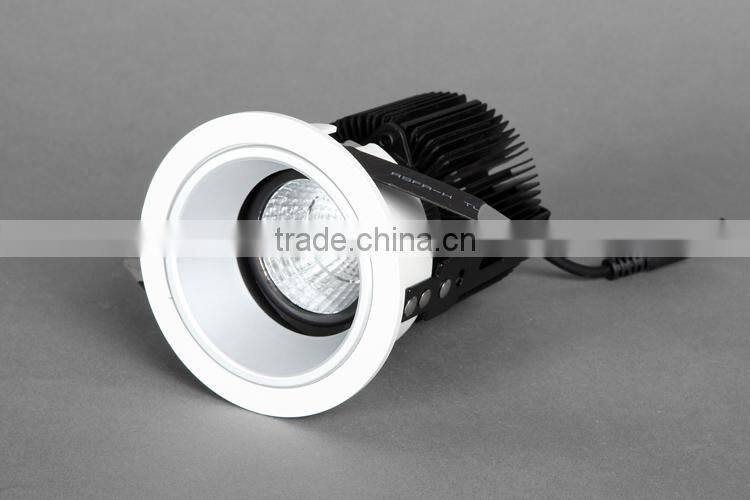 Adjustable White 6w 9w 13W COB LED downlight with silver reflector