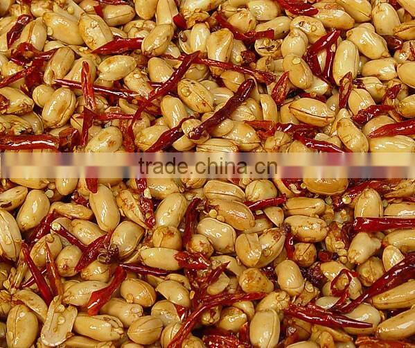 Best-selling Commercial Continuous Gas fryer