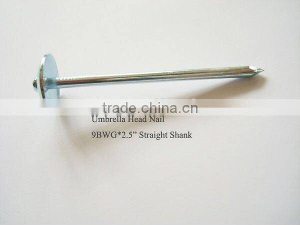 GI roofing nail galvanized roofing nail