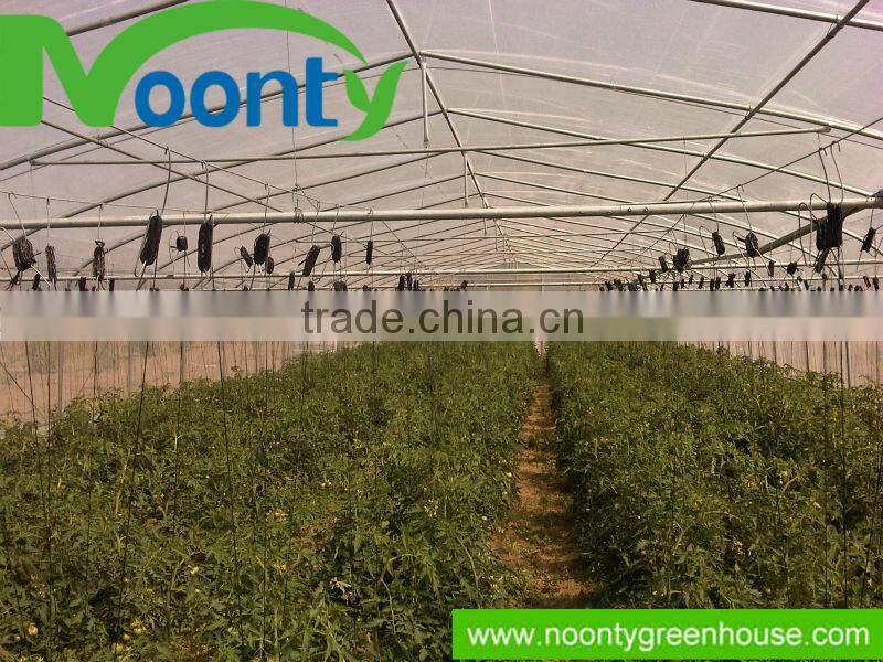 Greenhouse for Vegetable