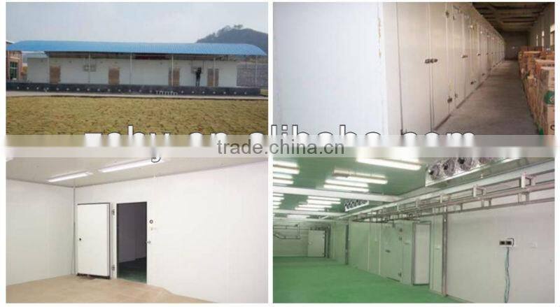 PU Storage Cold Room for Restaurant kitchen use