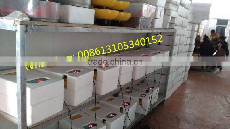 2016 Howard home use 24 chicken egg or 96 bird egg incubator for sale