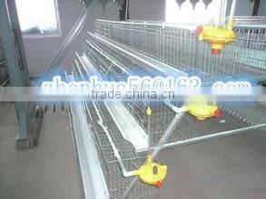 high quality layer chicken cage/quail cages for kenya market