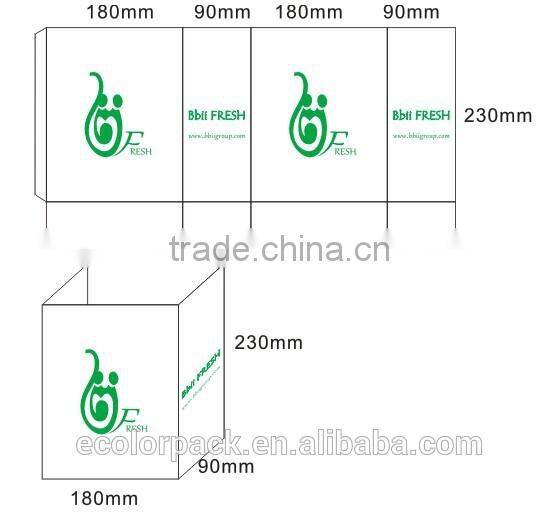 Custom Made Promotional White Craft Paper Bag