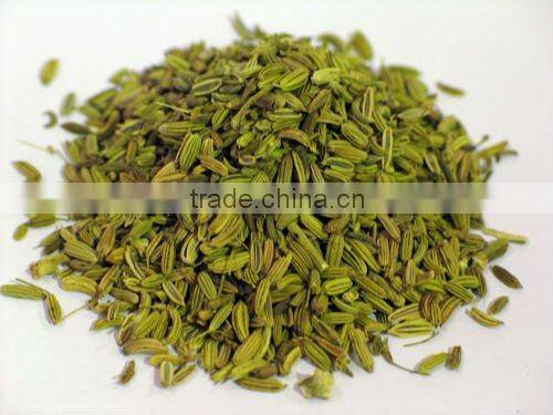 Fennel