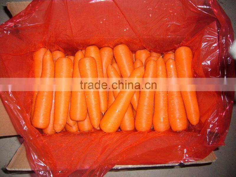 chinese Fresh Washed Carrot