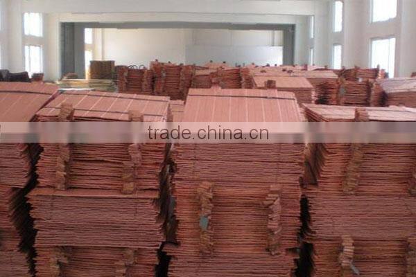 high quality copper cathode hot sale (B8)