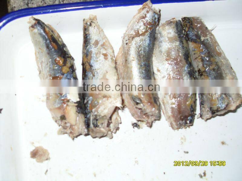 factory supply fast shipment canned mackerel fish with good taste best price high quality