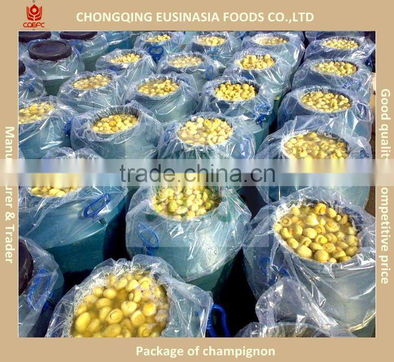 boiled canned champignon mushroom