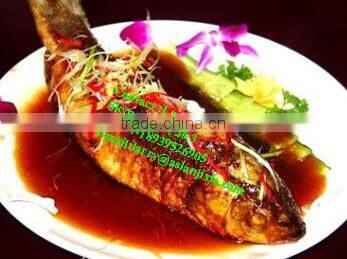 fish killing machine/fish killing scaling machine/fish kill machine