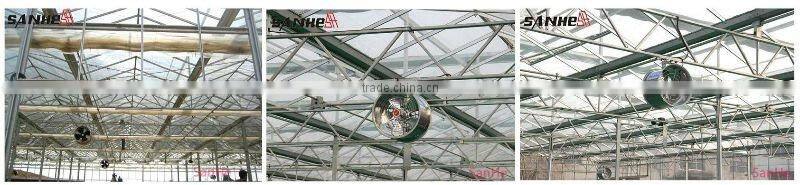 Greenhouse Air Circulation Fan (with CE certificate)